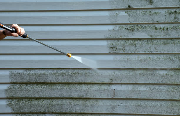 Best Solar Panel Cleaning  in East Lake Orient Park, FL